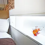 Angel Wing Apartamentai