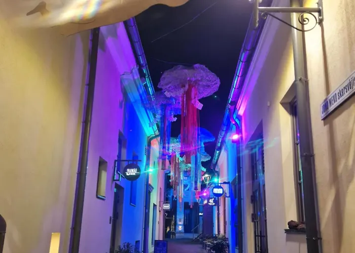 Angel Wing Apartamentai 빌뉴스