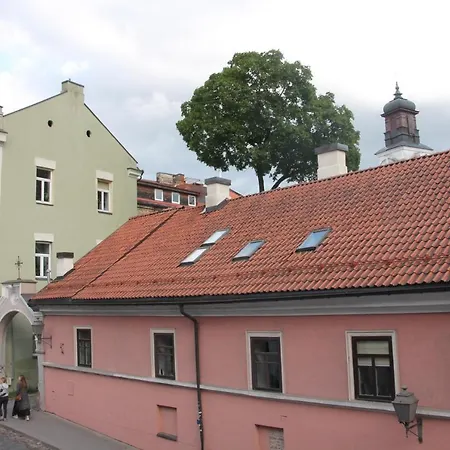 Angel Wing Apartamentai Lägenhet